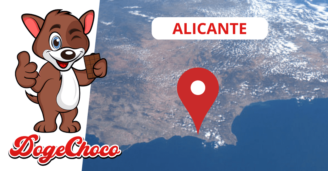 Dogechoco planifica su primera fábrica de chocolates en Alicante